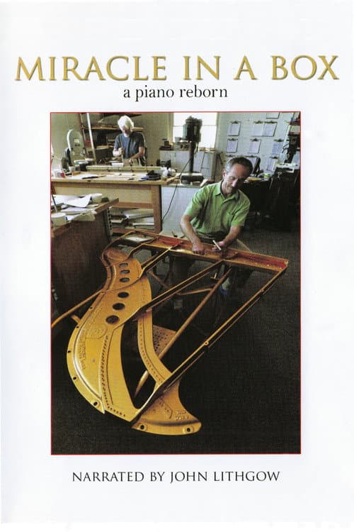 Miracle in a Box: A Piano Reborn (2009) poster