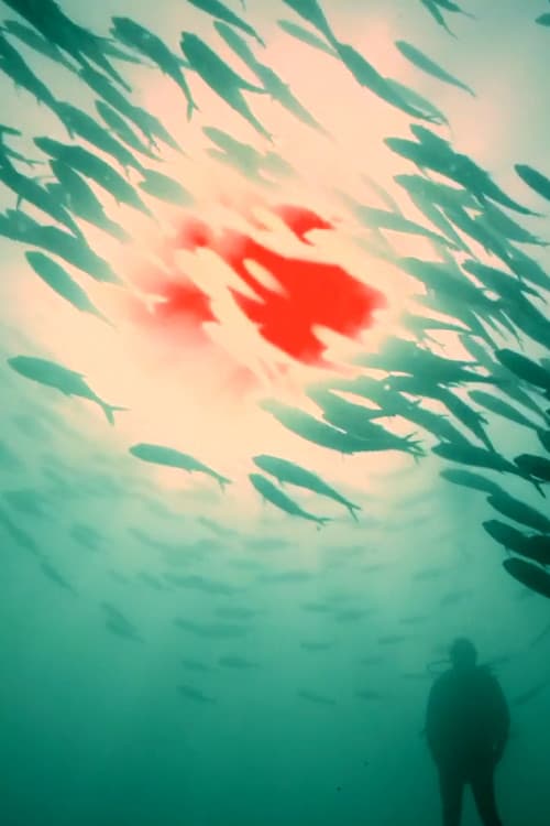 Sol Rojo (2018) poster