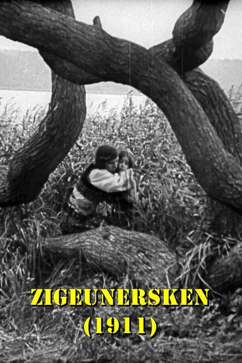Zigeunersken (1911) poster