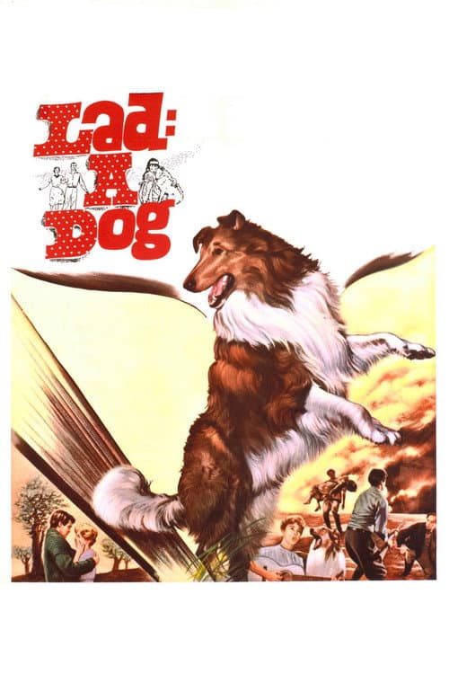 Lad: A Dog (1962) poster
