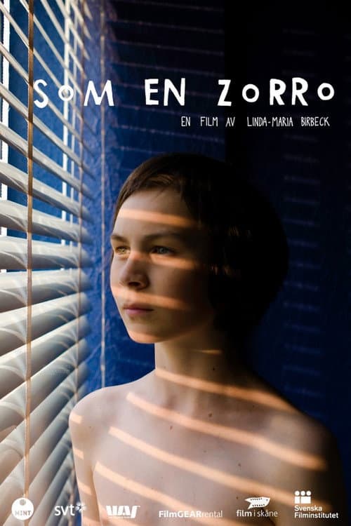 Som en Zorro (2012) poster