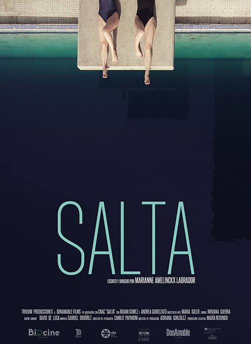 Salta (2017) poster