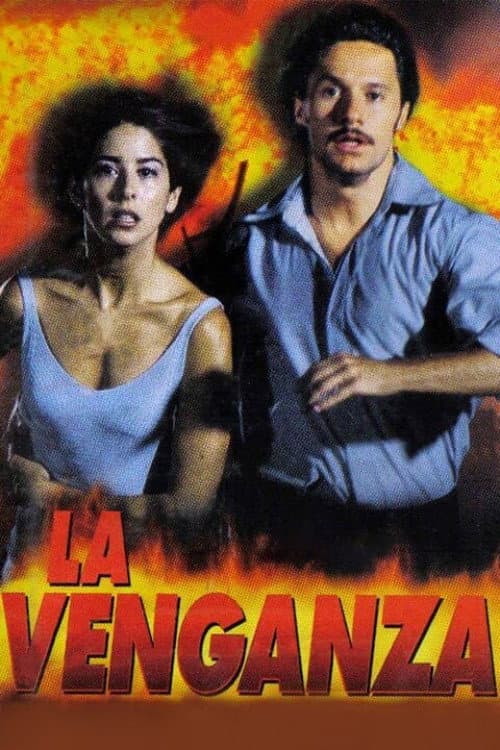 La venganza (1999) poster