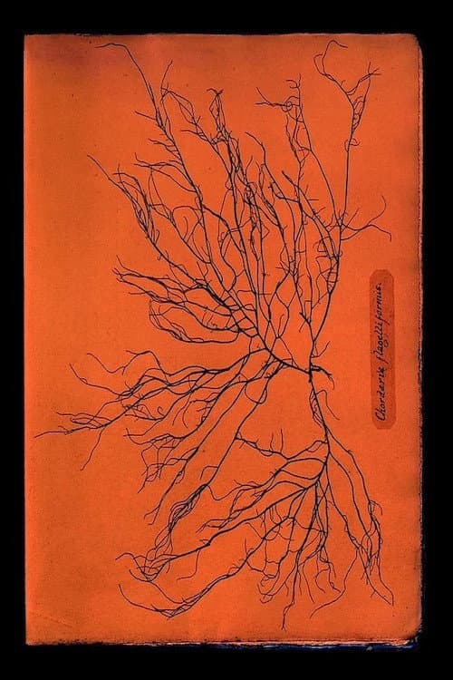 Ghost Protists (2024) poster