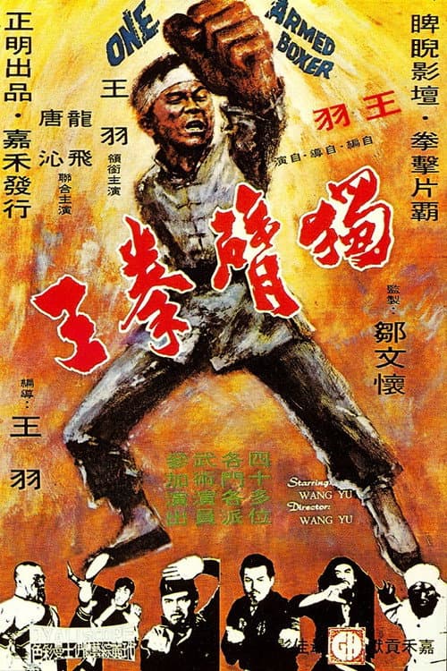 獨臂拳王 (1972) poster