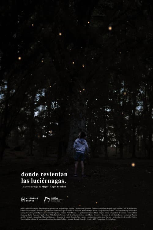 Donde revientan las luciérnagas (2024) poster