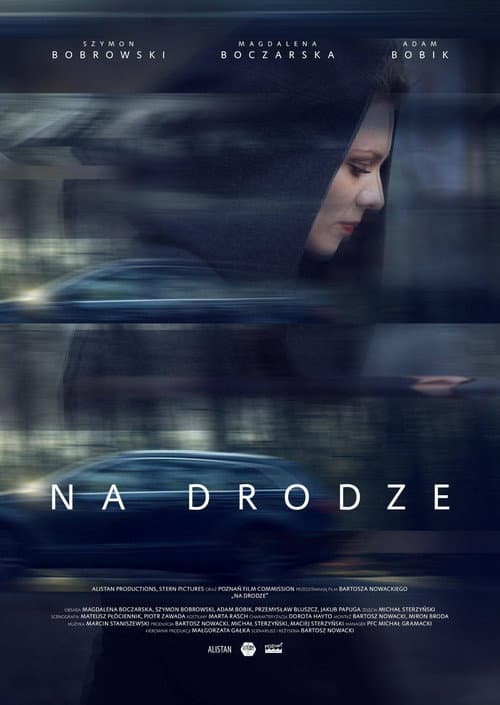 Na drodze (2017) poster
