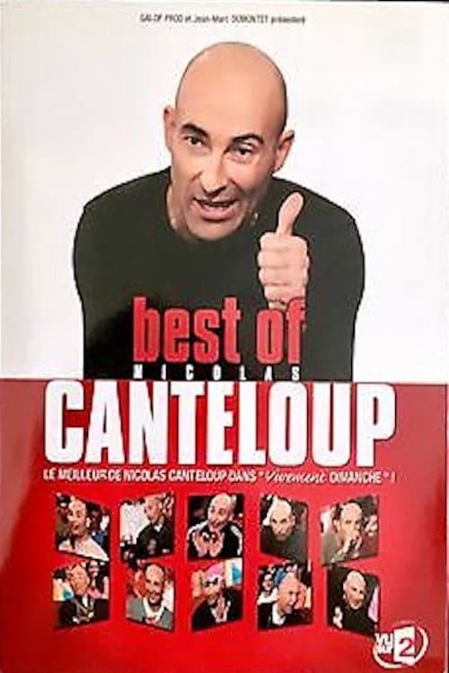 Best Of Nicolas Canteloup (2009) poster
