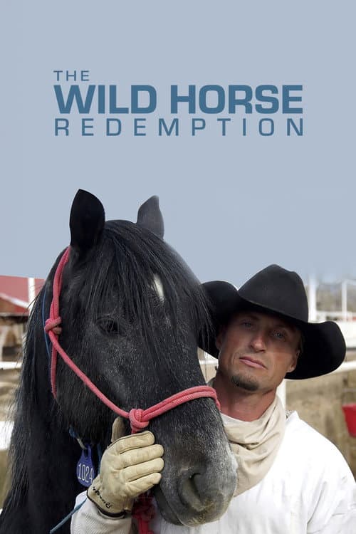 The Wild Horse Redemption (2007) poster