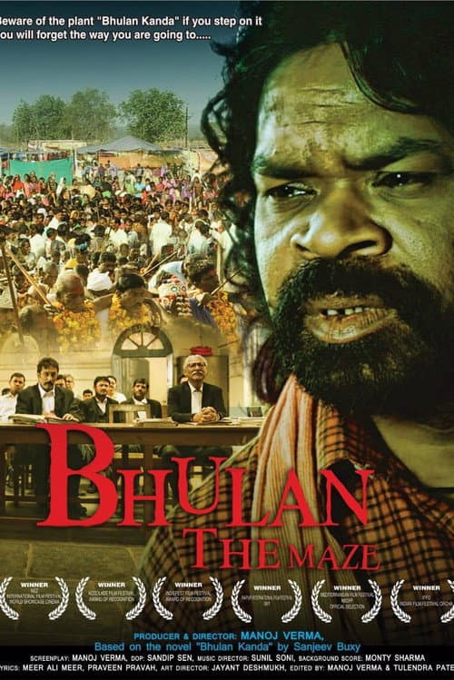 Bhulan The Maze (2017) poster