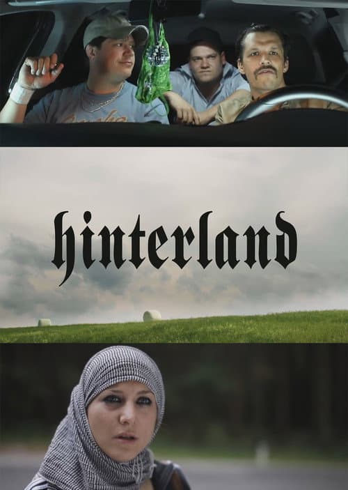 Hinterland (2011) poster