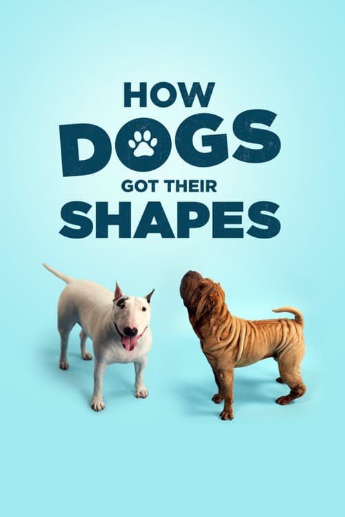 How Dogs Got Their Shapes (2016) poster