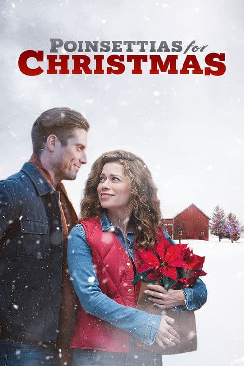 Christmas star (2018) poster