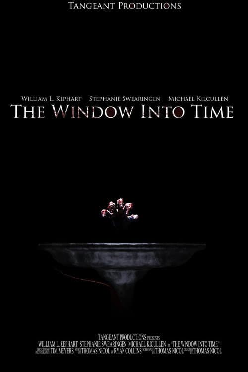 The Window Into Time (2011) poster