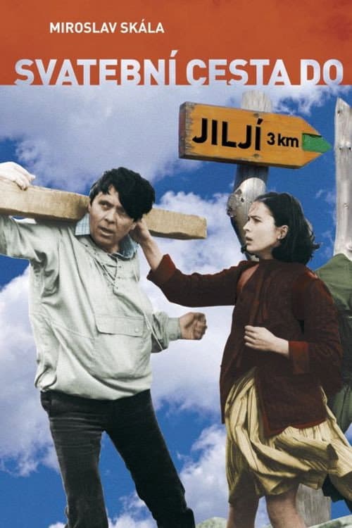 Svatební cesta do Jiljí (1984) poster