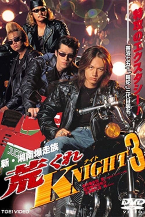 荒くれKNIGHT3 (1999) poster