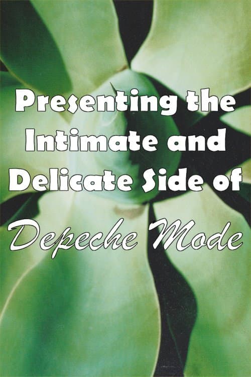 Depeche Mode: 1999–2002 “Presenting the Intimate and Delicate Side of Depeche Mode” (2007) poster