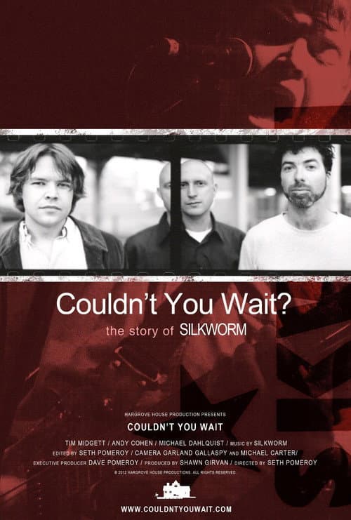 Couldn't You Wait? (2013) poster