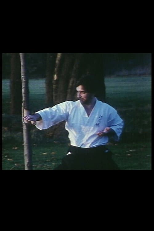 Ice Break (1981) poster