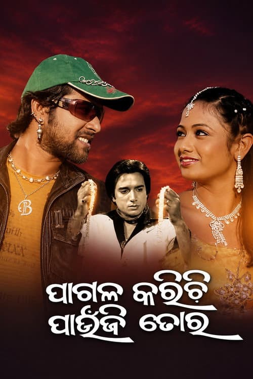 Pagala Karichi Paunji Tora (2009) poster