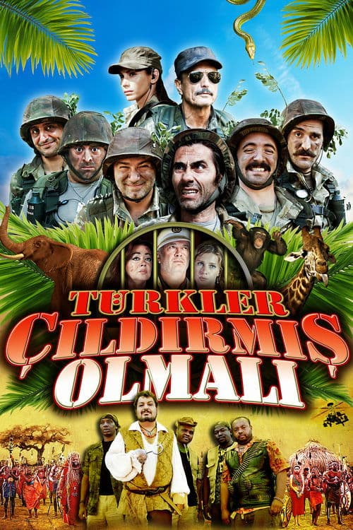Türkler Çıldırmış Olmalı (2009) poster