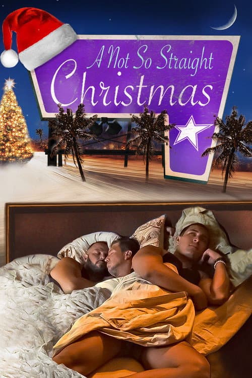 A Not So Straight Christmas (2024) poster
