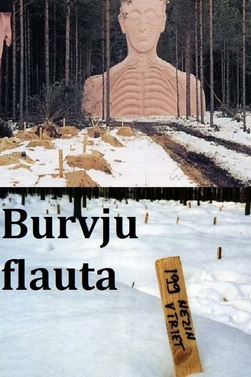 Burvju flauta (2001) poster