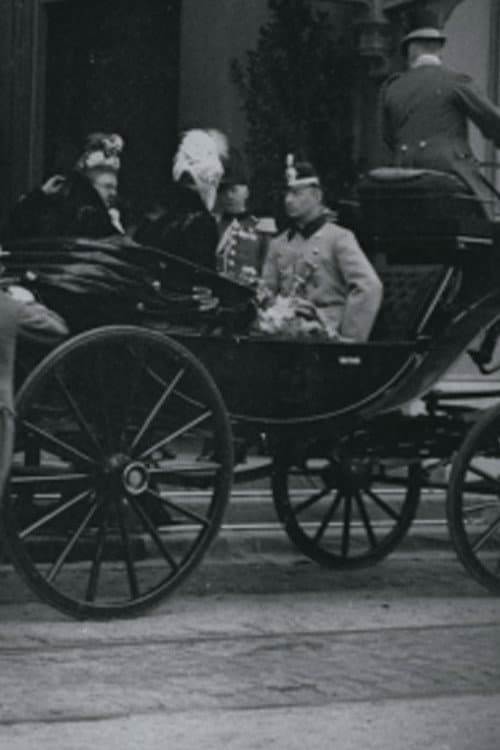 Intocht van hertog Hendrik van Mecklenburg en H.M. de koningin aan het Staatsspoor te 's-Gravenhage (1900) poster