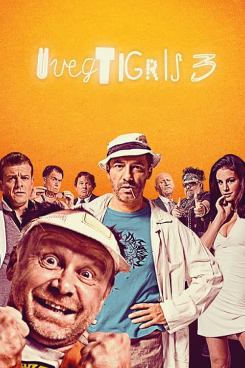 Üvegtigris 3 (2010) poster