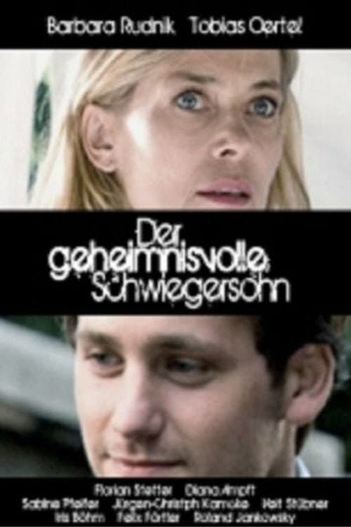 Der geheimnisvolle Schwiegersohn (2007) poster