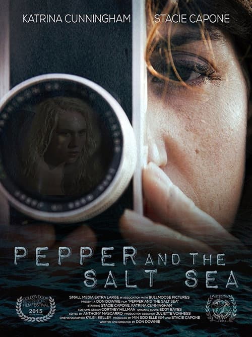 Pepper and the Salt Sea (2015) poster