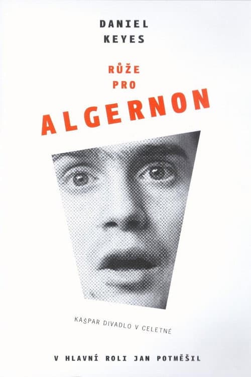 Růže pro Algernon (2006) poster