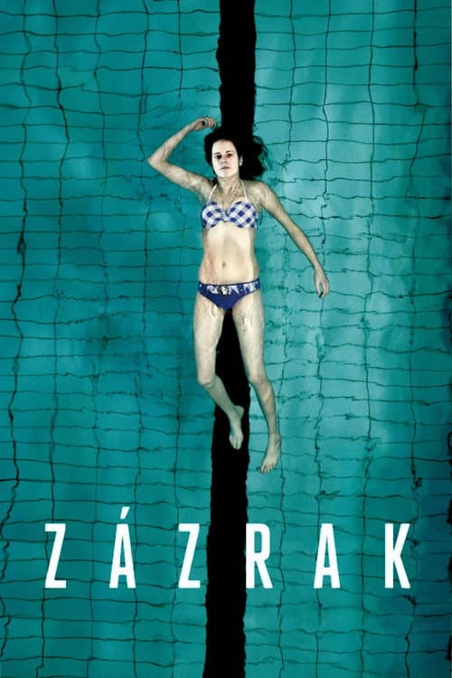 Zázrak (2013) poster