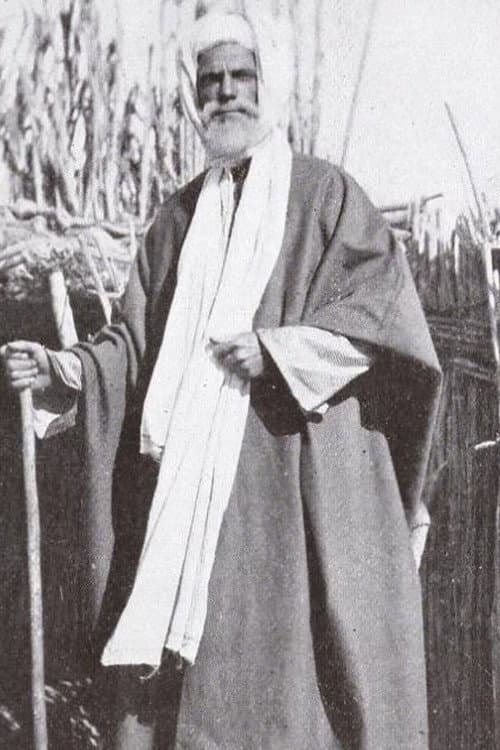 Dust of the Desert (1912) poster