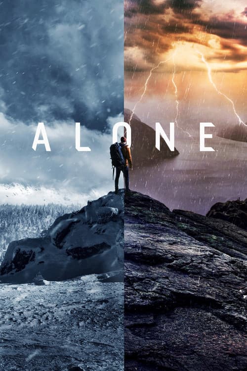 Alone: Lost and Found (2015) poster