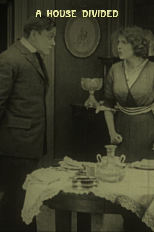A House Divided (1913) poster