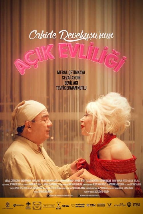 Cahide Devekuşu'nun Açık Evliliği (2016) poster