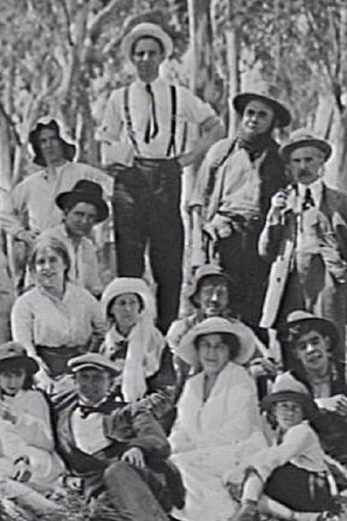 Our Friends the Hayseeds (1917) poster