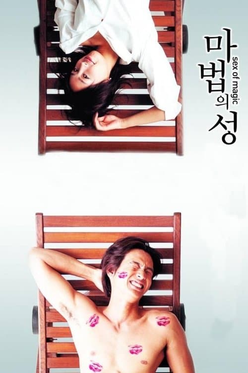 마법의 성 (2002) poster