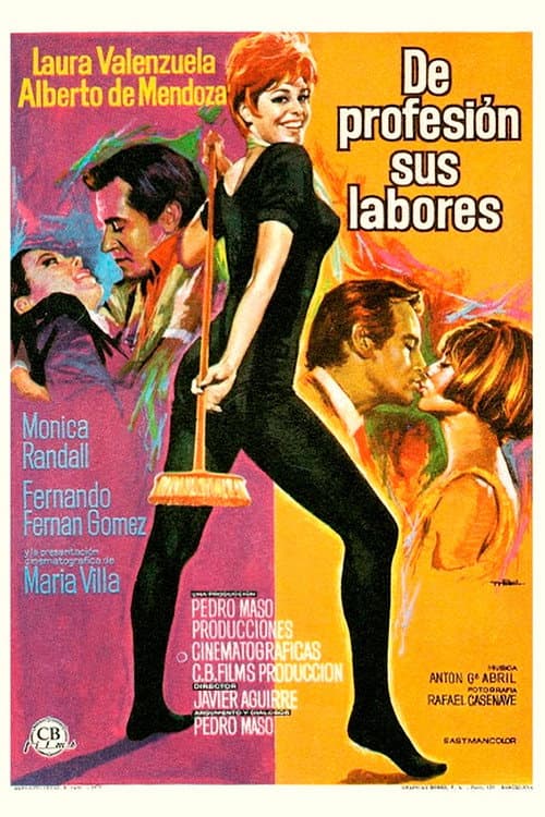 De profesión, sus labores (1970) poster