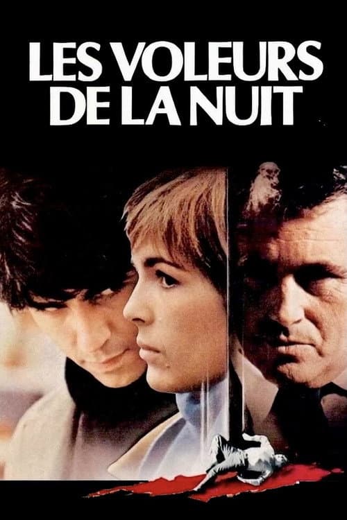 Les Voleurs de la nuit (1984) poster