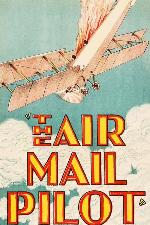 The Air Mail Pilot (1928) poster