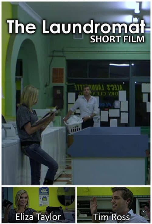 The Laundromat (2010) poster