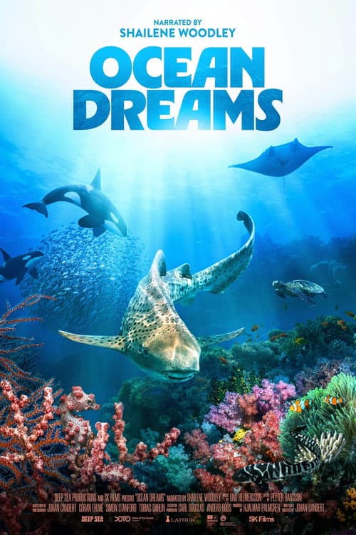 Ocean Dreams (2026) poster