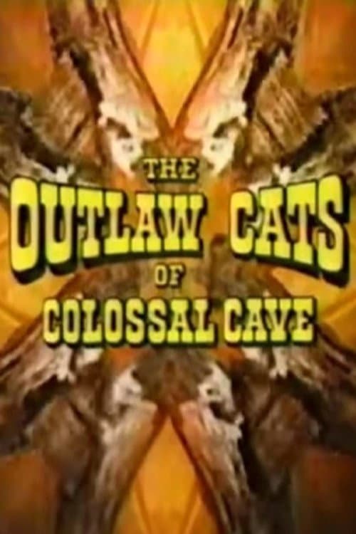 The Outlaw Cats of Colossal Cave (1975) poster