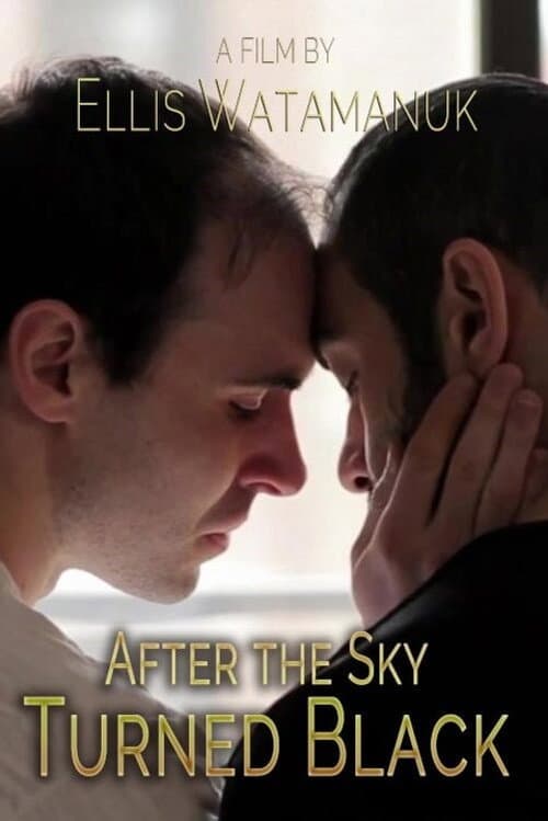 After the Sky Turned Black (2012) poster