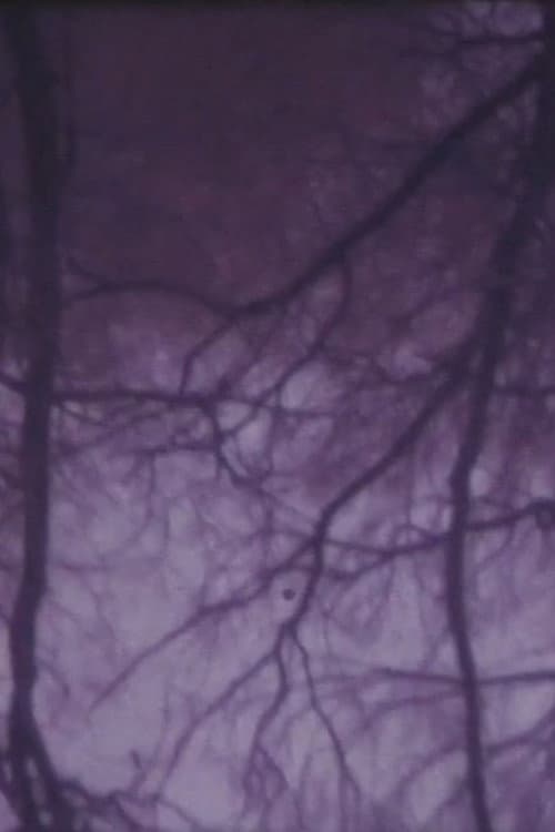 The Burning Tree (1968) poster