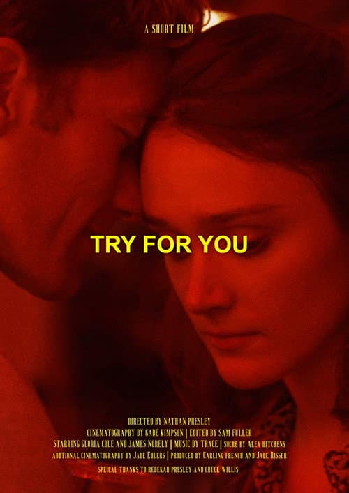 Try For You (2019) poster