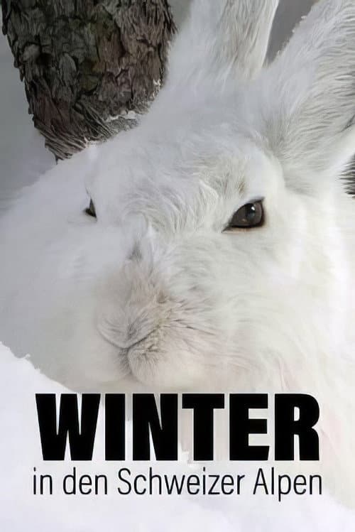 Winter in den Schweizer Alpen (2022) poster