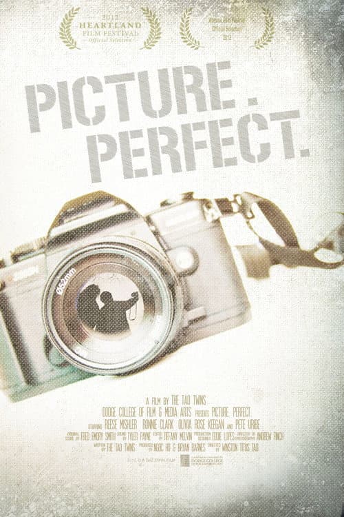 Picture. Perfect. (2012) poster